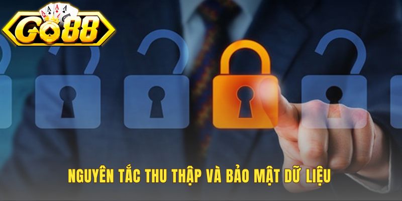 Chính sách bảo mật quy định nguyên tắc thu thập dữ liệu an toàn